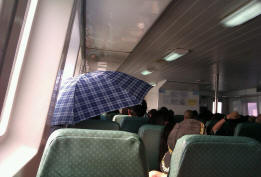Howard-Sheard-umbrella.jpg