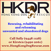 HK Dog Rescue