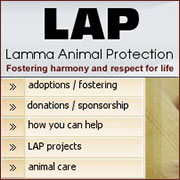 Lamma Animal Protection