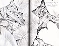 Artwork of the Week